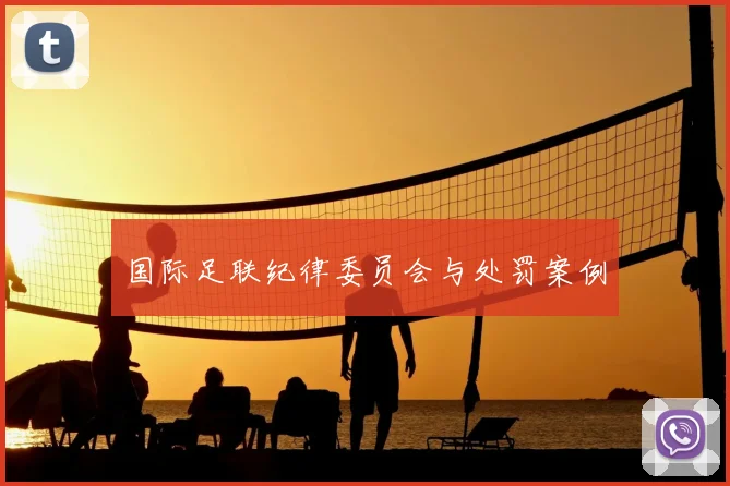 国际足联纪律委员会与处罚案例