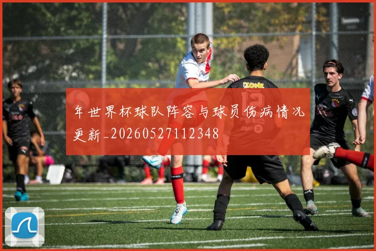 年世界杯球队阵容与球员伤病情况更新_20260527112348